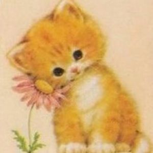 Meet your Posher, Jordyn